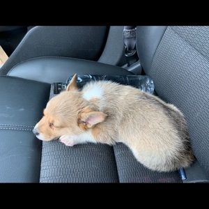 Meet your Posher, Haley